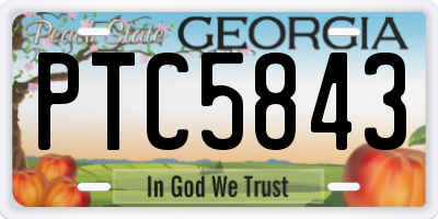 GA license plate PTC5843