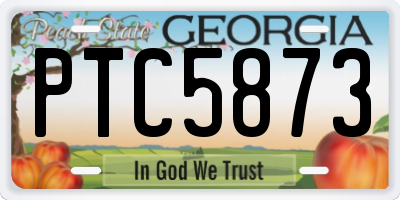 GA license plate PTC5873