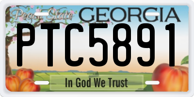 GA license plate PTC5891