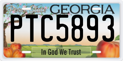 GA license plate PTC5893