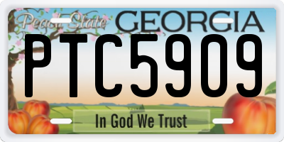 GA license plate PTC5909