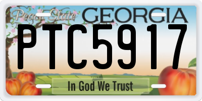 GA license plate PTC5917