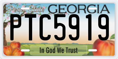GA license plate PTC5919