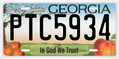 GA license plate PTC5934