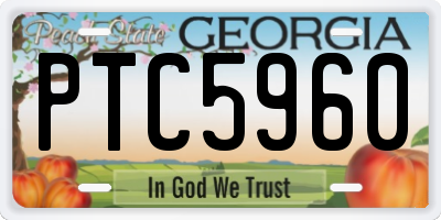 GA license plate PTC5960