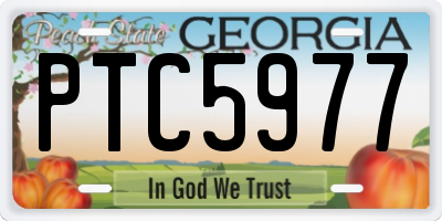 GA license plate PTC5977