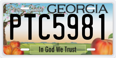 GA license plate PTC5981