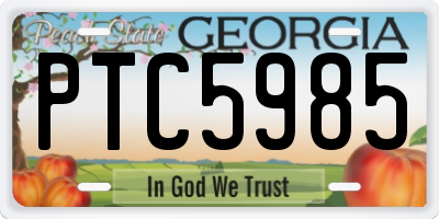 GA license plate PTC5985