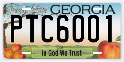 GA license plate PTC6001
