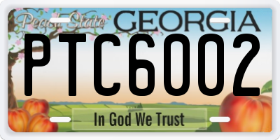 GA license plate PTC6002