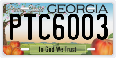 GA license plate PTC6003