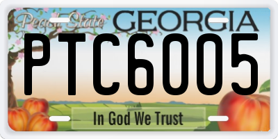 GA license plate PTC6005