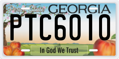 GA license plate PTC6010