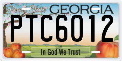 GA license plate PTC6012