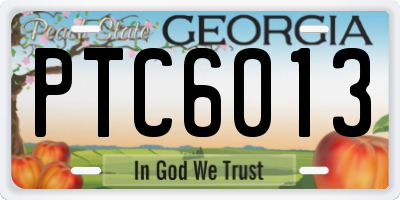 GA license plate PTC6013