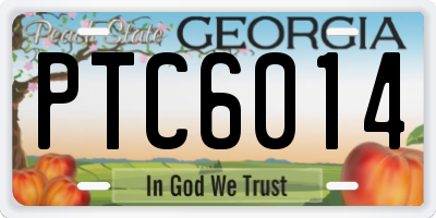 GA license plate PTC6014
