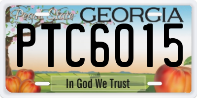 GA license plate PTC6015