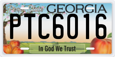 GA license plate PTC6016