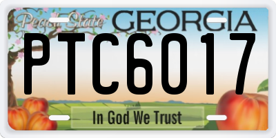 GA license plate PTC6017