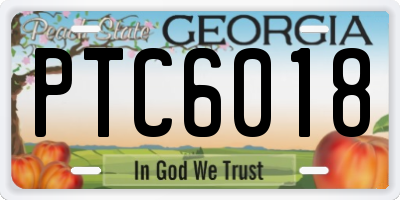 GA license plate PTC6018