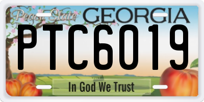 GA license plate PTC6019