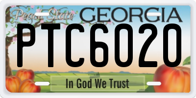 GA license plate PTC6020