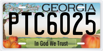 GA license plate PTC6025