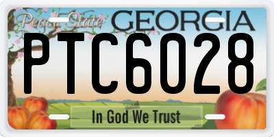 GA license plate PTC6028