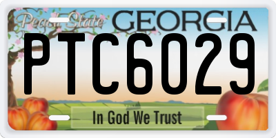 GA license plate PTC6029