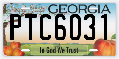 GA license plate PTC6031