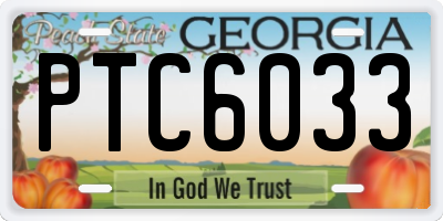 GA license plate PTC6033