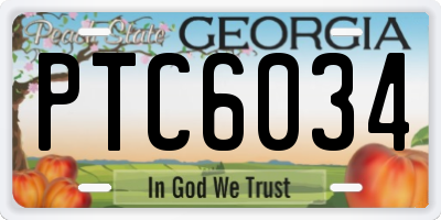 GA license plate PTC6034