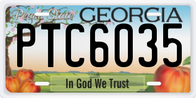 GA license plate PTC6035