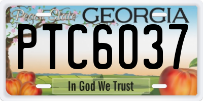 GA license plate PTC6037