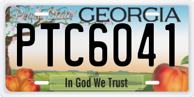 GA license plate PTC6041