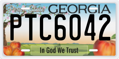 GA license plate PTC6042