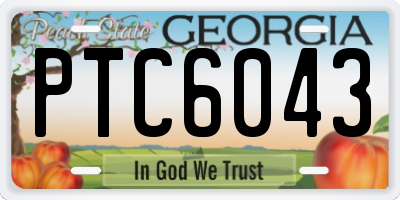 GA license plate PTC6043