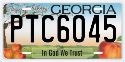 GA license plate PTC6045