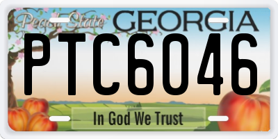 GA license plate PTC6046