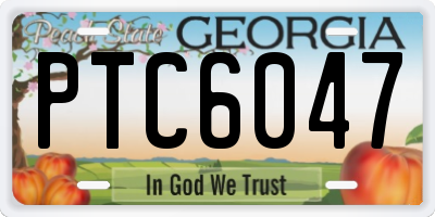 GA license plate PTC6047