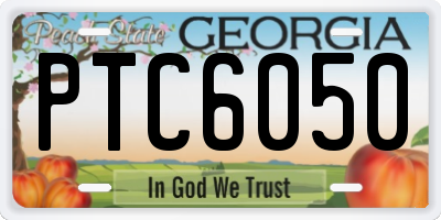 GA license plate PTC6050