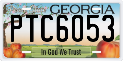 GA license plate PTC6053