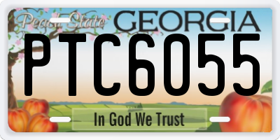 GA license plate PTC6055