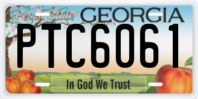 GA license plate PTC6061