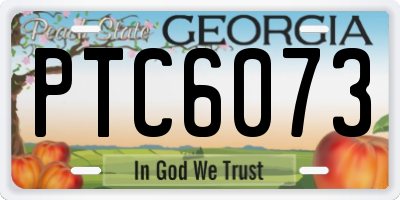 GA license plate PTC6073