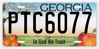 GA license plate PTC6077