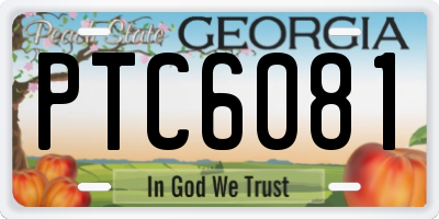 GA license plate PTC6081