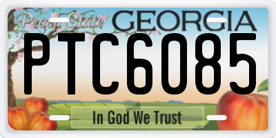 GA license plate PTC6085