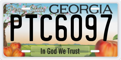 GA license plate PTC6097