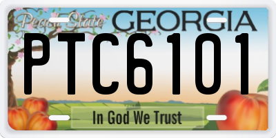 GA license plate PTC6101